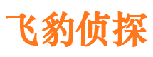 红河外遇调查取证